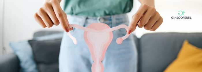 ¿Cómo elegir la mejor clínica de fertilidad en Tijuana? Aspectos que realmente importan