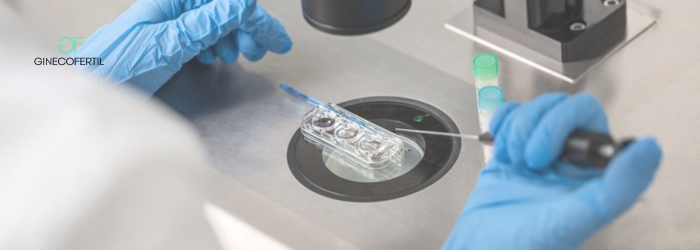 IVF Tijuana: ¿Cuántos intentos de IVF pueden ser necesarios?