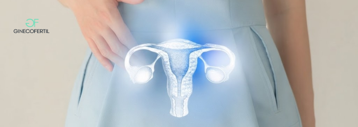 IVF y salud del útero: cómo influye el entorno uterino en el éxito del tratamiento