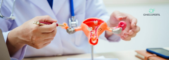 Recanalización de trompas y medicina reproductiva moderna: lo que debes saber hoy