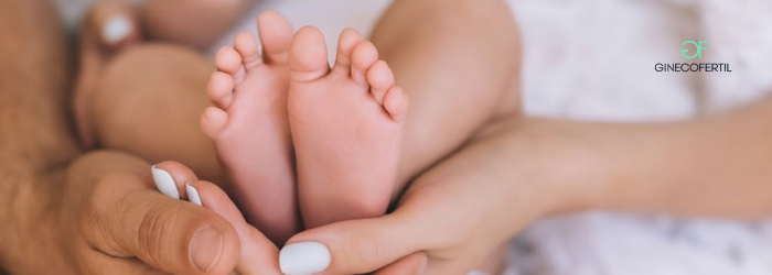 IVF Tijuana: todo lo que debes saber antes de iniciar un tratamiento de fertilización in vitro