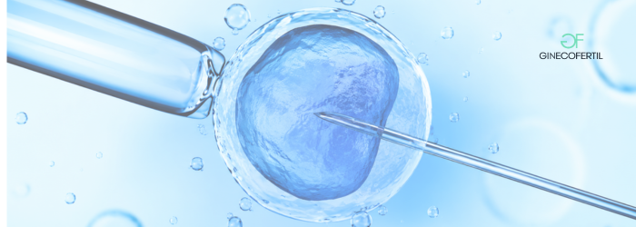 IVF en Tijuana: guía completa sobre la fertilización in vitro y sus etapas