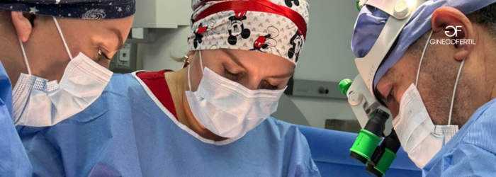 Fertilización in vitro en Tijuana: ¿cuándo es la mejor opción para lograr un embarazo?