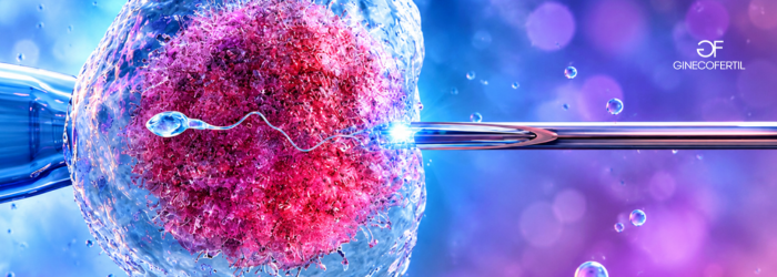 ¿Tu sueño es ser mamá? Así puedes comenzar tu camino con Fertilización In Vitro.