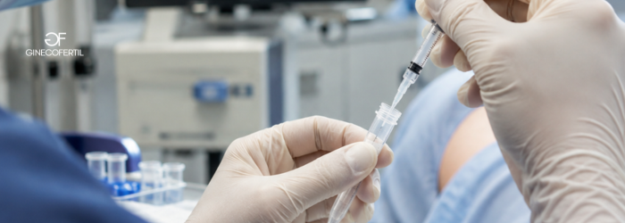 Descubre qué sucede paso a paso en el día de la inseminación artificial.